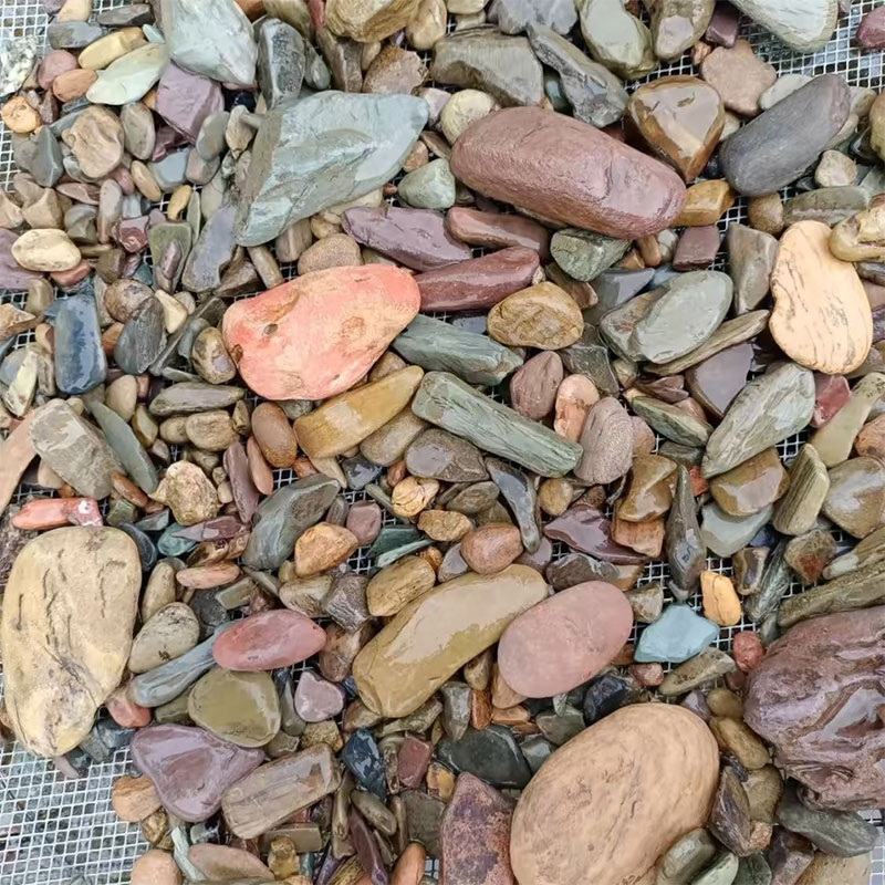 500g Fish Tank Bottom Sand Sto - огляд і ціна Planted Aquarium With Sand