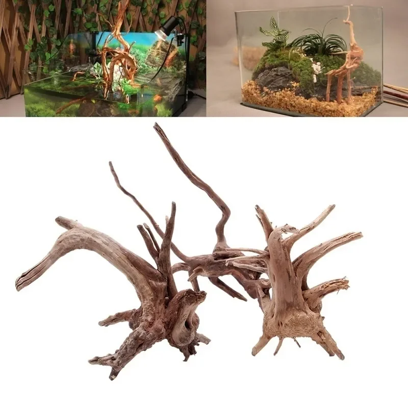 Natural Tree Trunk Driftwood A - огляд і ціна Aquarium Plant Growing