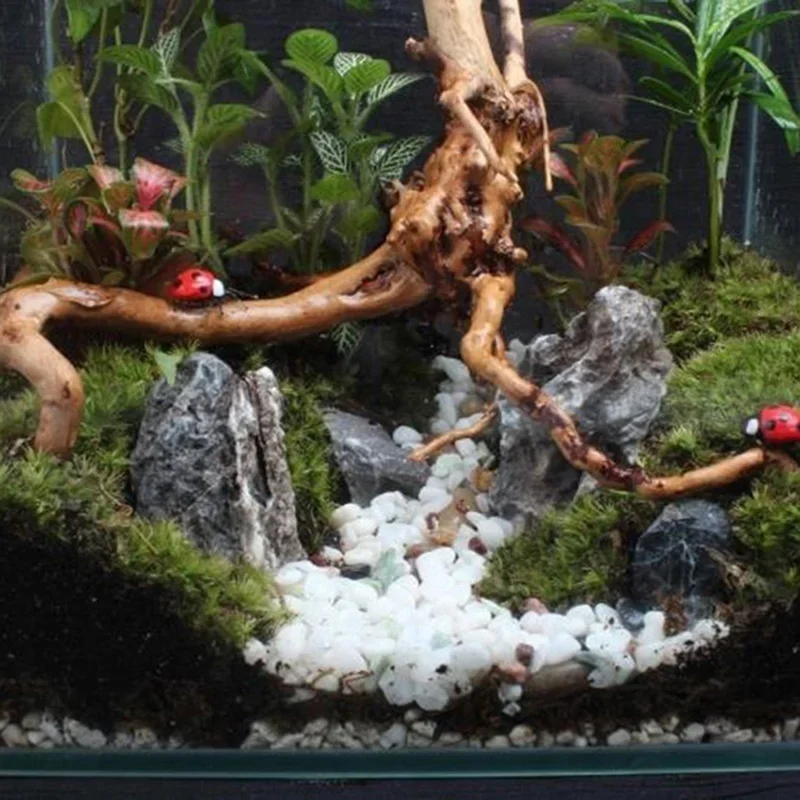 Natural Tree Trunk Driftwood A - огляд і ціна Aquarium Plant Growing