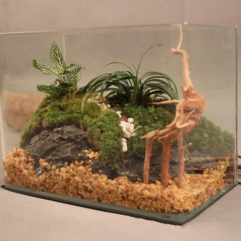 Natural Tree Trunk Driftwood A - огляд і ціна Aquarium Plant Growing