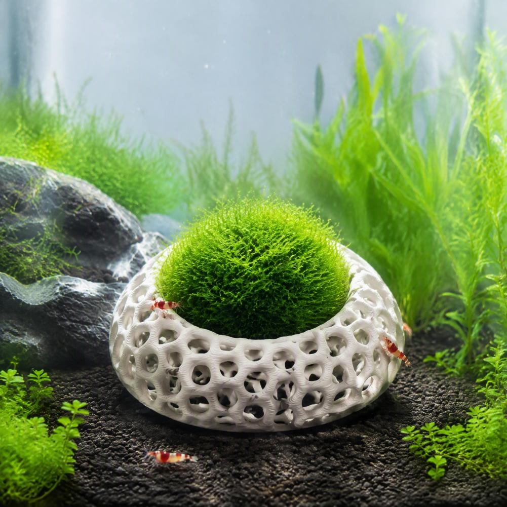 Cherry Shrimp Tank Decor 2-pac - огляд і ціна Planted Aquarium Anubias