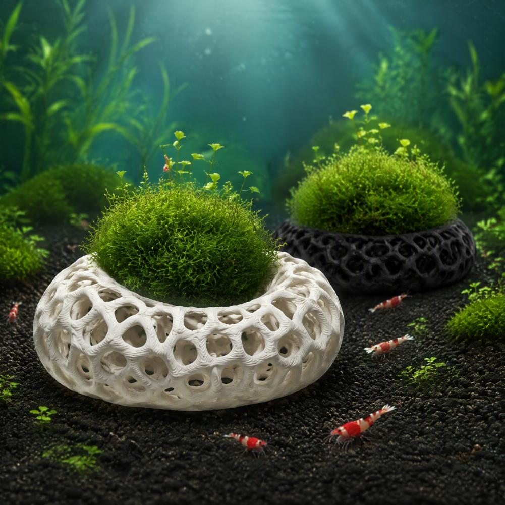 Cherry Shrimp Tank Decor 2-pac - огляд і ціна Planted Aquarium Anubias