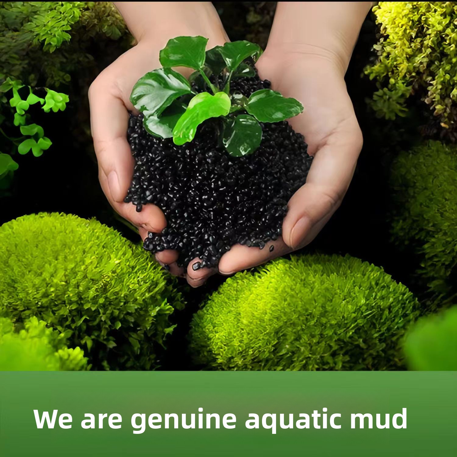 Non-Ceramic Aquatic Plant Mud  - огляд і ціна Planted Aquarium With Sand