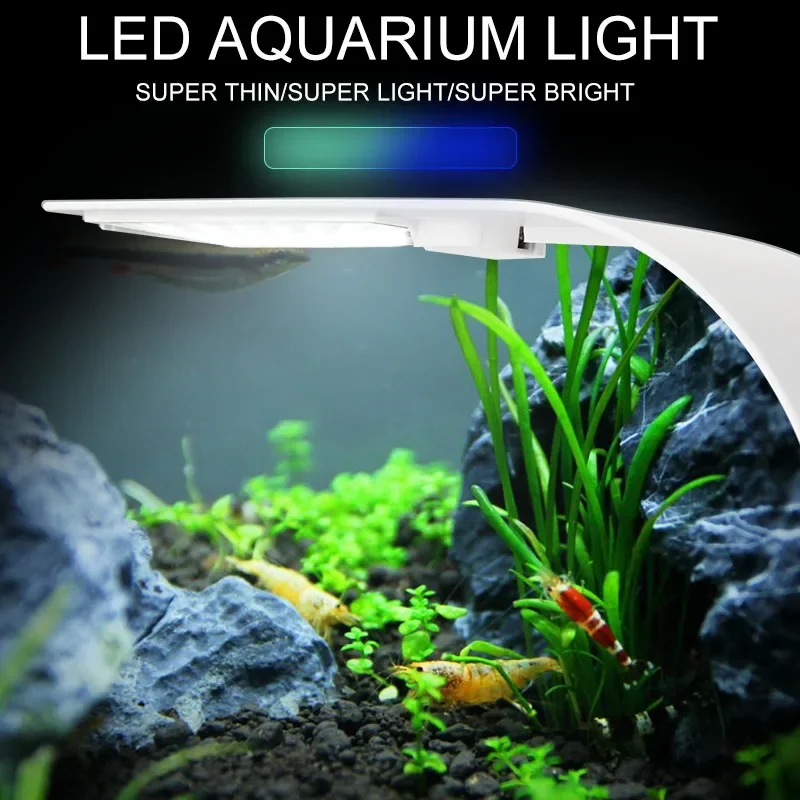 Super Slim LED Aquarium Light  - огляд і ціна Planted Aquarium Pictures