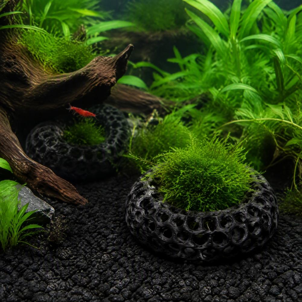 Aquarium Decorations for Shrim - огляд і ціна Planted Aquarium Anubias