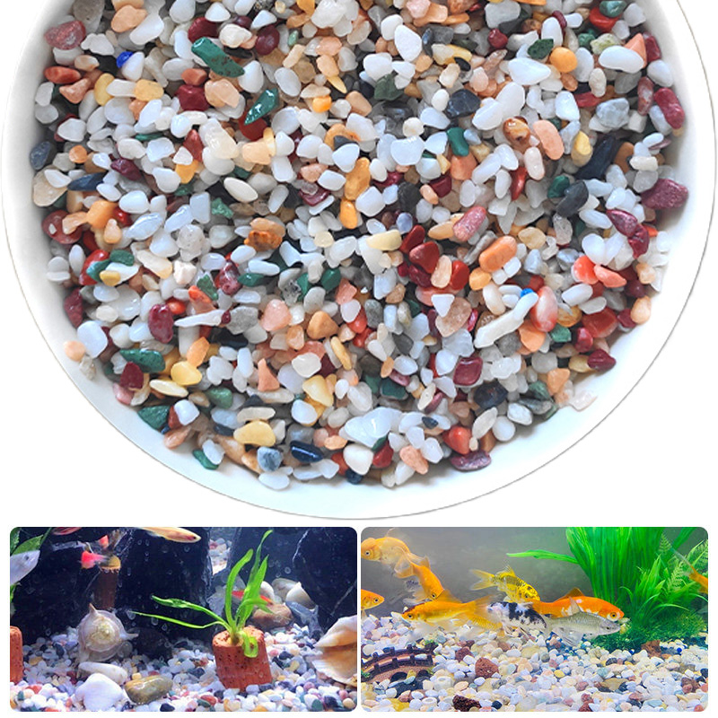 Natural Gravel Stone 200~1000g - огляд і ціна Planted Aquarium With Sand