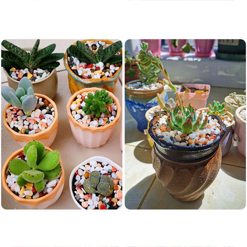 Natural Gravel Stone 200~1000g - огляд і ціна Planted Aquarium With Sand