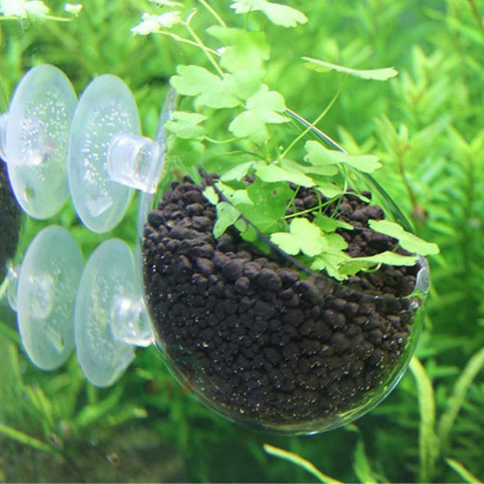 Aquarium Glass Plant Pot with  - огляд і ціна Aquarium Plant Dip