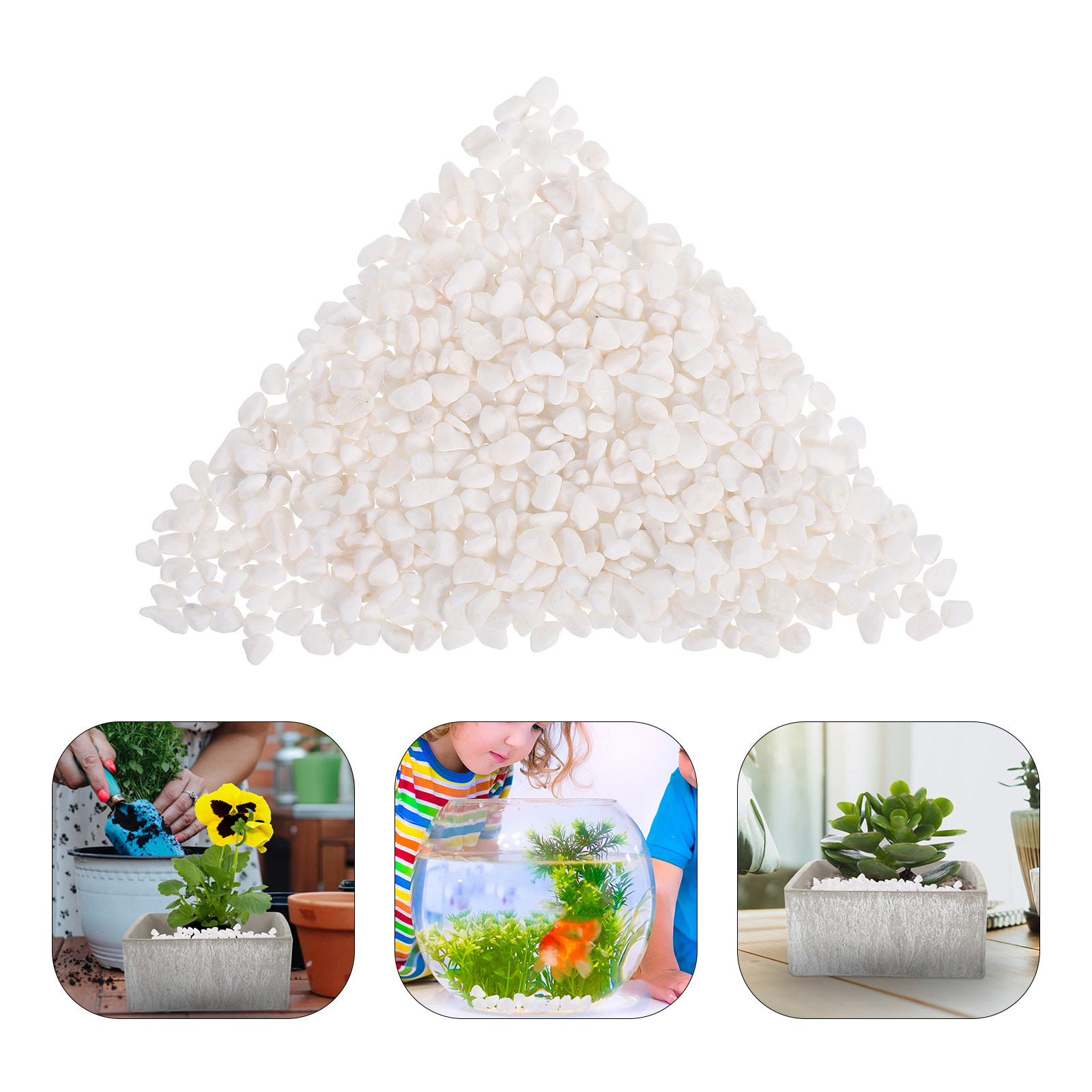 Natural Gravel Decorative Ston - огляд і ціна Planted Aquarium With Gravel