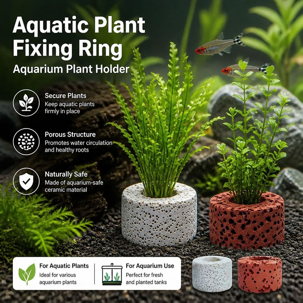 10Pcs Weighted Ring Aquatic Pl - огляд і ціна Planted Aquarium Pictures
