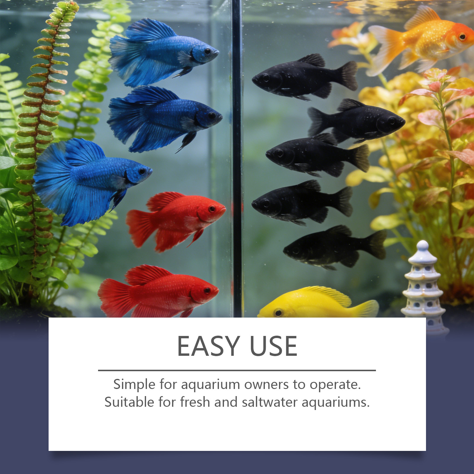 Algae Remover Tablets for Aqua - огляд і ціна Planted Aquarium Algae Remover