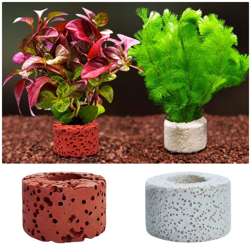 10Pcs Weighted Ring Aquatic Pl - огляд і ціна Planted Aquarium Pictures